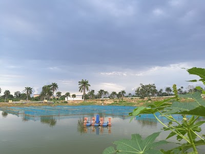 Photos of Triton Talapia Fish Farm