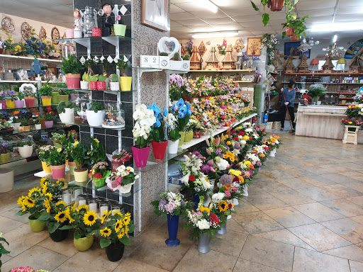 Blumen Green Day - Thumbnail