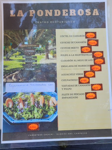 Centro Ecoturístico La Ponderosa - Thumbnail