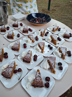 Les Marguerites à Alet-les-Bains