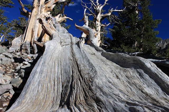 Great Basin Visitor Center