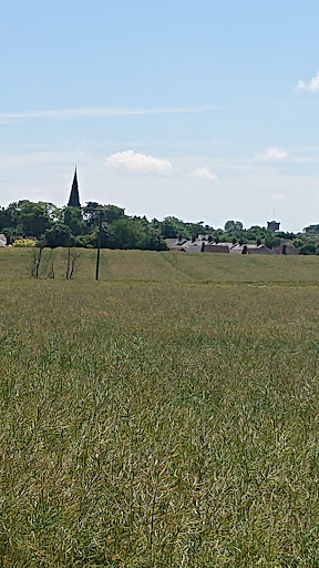 Halstead Park - Visual