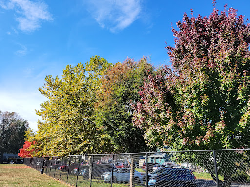 Simchock Park - Visual