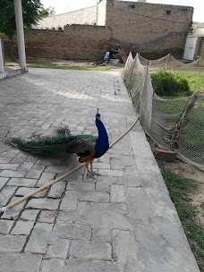 Masjid Garden rawalpindi