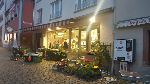 Frischezentrum Colditz - Gemüsemarkt Schmidt