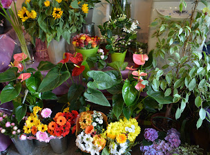 Photo n°21 de Quai des Fleurs Fleuriste Bougival à Bougival (Marché aux fleurs)