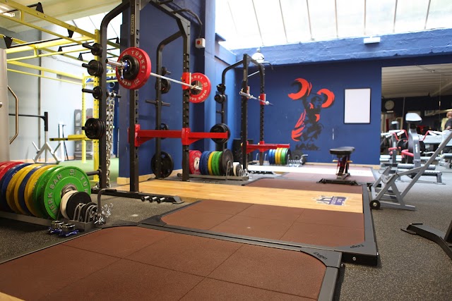 Fight City Gym