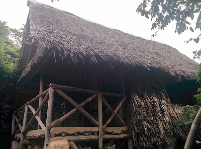 Photos of Stilts Tree Houses