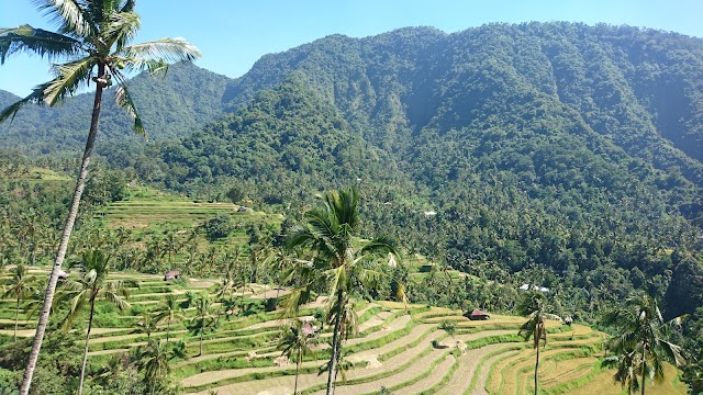 Sekumpul Waterfall