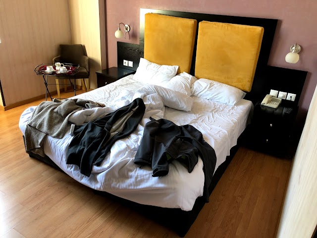Delphi Art Hotel Ξενοδοχείο