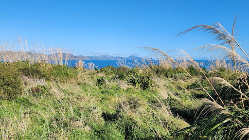 Go Mana Gallery - New Zealand