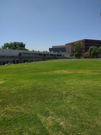 Engineering Meadow - Visual