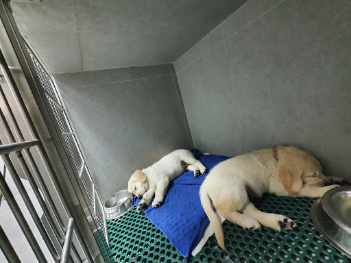 Veterinarios La Caridad