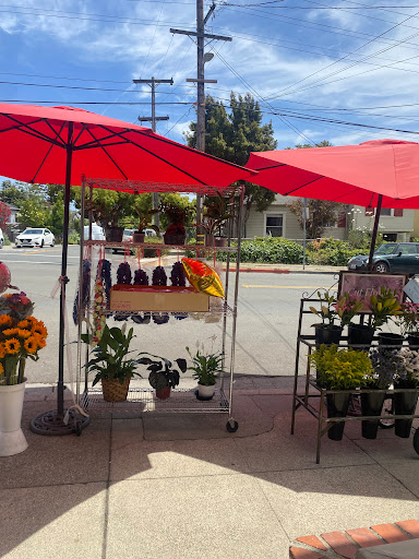 Golden Poppy Florist 2 - Thumbnail
