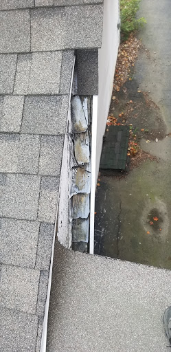 The Roofa - Visual