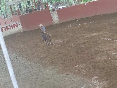 Photos of Laguna Nueva Esperanza