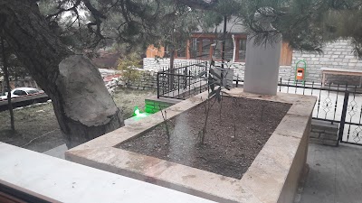 Photos of Camping lalezar
