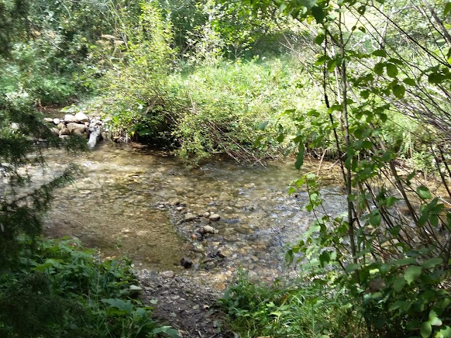 Trnovo