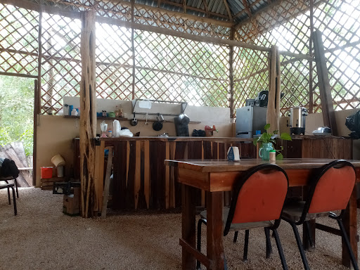 TAQUERIA MAYA. Fco Uh May