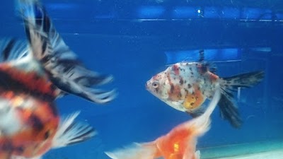 Photos of Sahel Aquarium