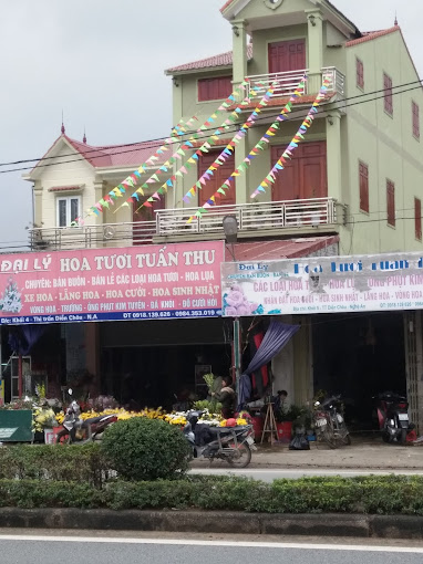 Đại Lý Hoa Tươi Tuấn Thu – TUAN THU FLOWER