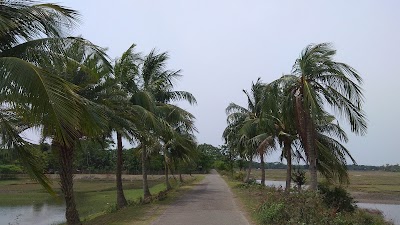 Photos of ধুলাস্বার সুমদ্র সৈকত