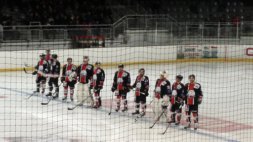 Toulouse Blagnac Hockey Club - beluga - Thumbnail