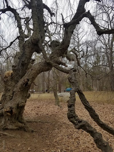 Gallaher Mansion and Cranbury Park