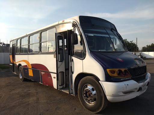 SAM Sociedad de Autotransportes México cuautitlan melchor ocampo zumpango y anexas sa de cv - Thumbnail