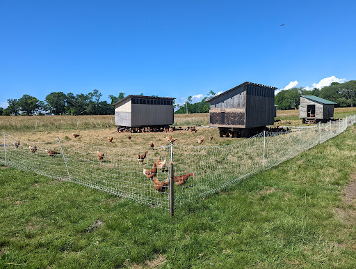 Windmist Farm - Thumbnail