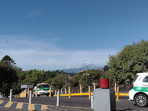 Xalapa Veracruz México - Thumbnail