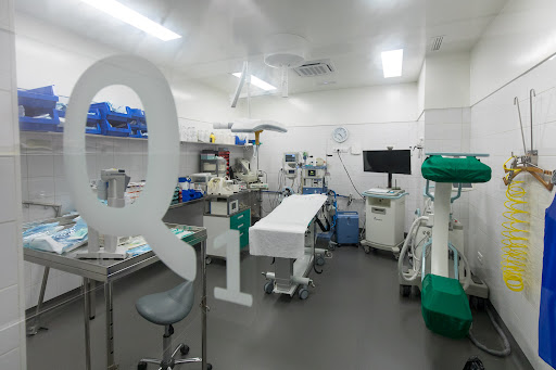 Centro de Cirugía Veterinaria