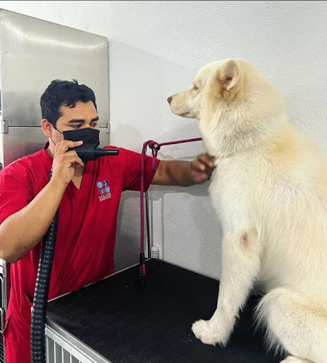 Clínica Veterinaria Dulces Mascotas