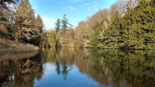 Colesbourne Gardens - Thumbnail