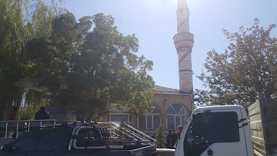 Photos of Medine Cami