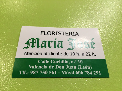 Floristería M.ª José - Thumbnail