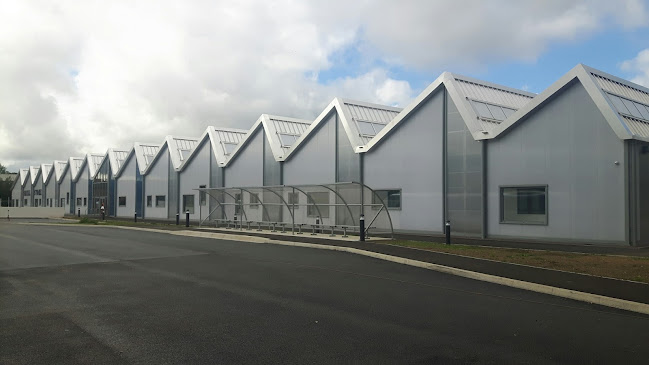 Reviews of Collins Design & Build Ltd in Hereford - Construction company