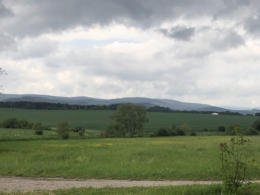 Rastplatz Crawinkel - Visual