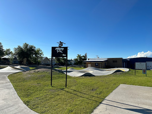 Larry Krystkowiak Skatepark - Thumbnail