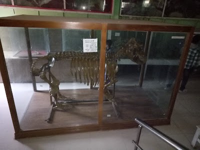 Photos of Safai Park Canteen And Restroom