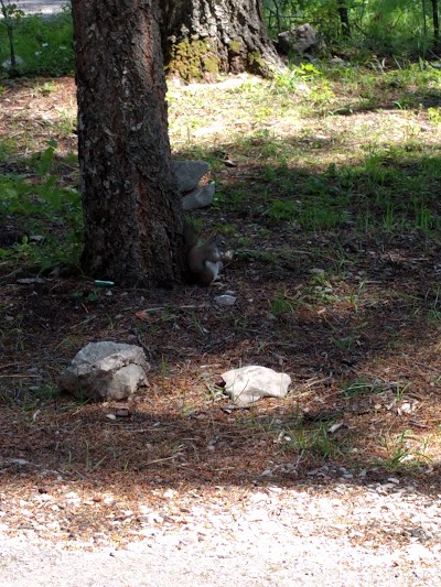 Silver Campground