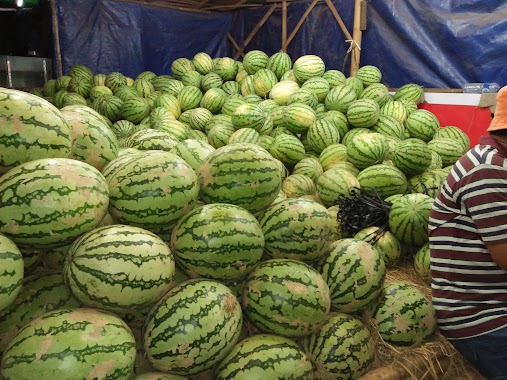 Pondok Semangka MAKMUR BUAH 1, Author: Makmur Buah