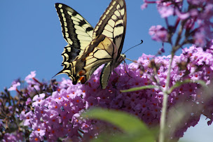 Photo n°10 de Chambres et table d'hotes Arfeuilles Le Bois du Four à Arfeuilles (Maison de vacances)