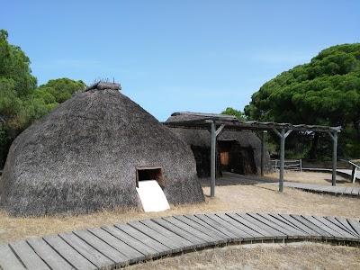 Photos of Do&ntilde;ana National Park