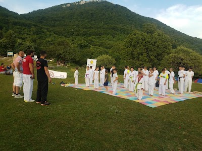 Taekwondo ALBANET