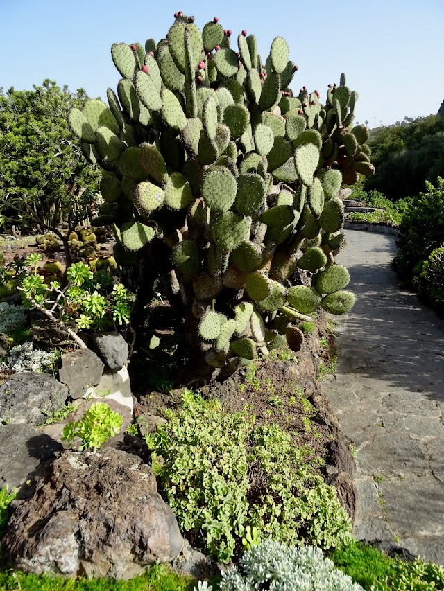 Botanical Garden Entrada Superior
