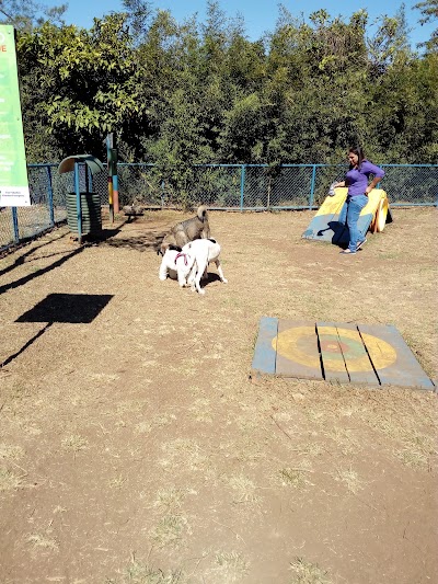 Photos of Parque Municipal de Perros - Ayarco