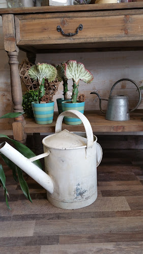 L'arrosoir Fleuriste Andernos - Fleuriste