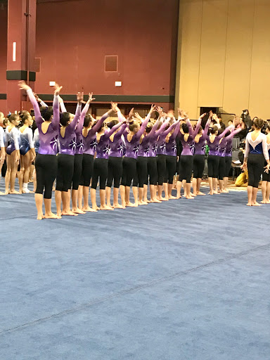 Truckee Gymnastics - Thumbnail