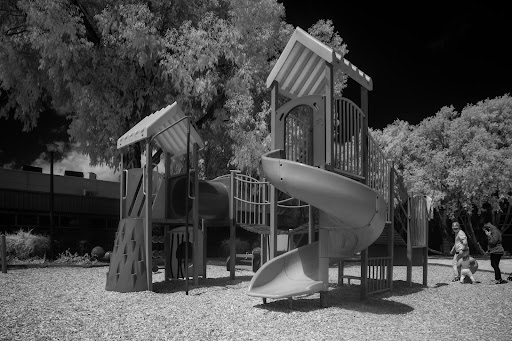 Robertson Street Reserve - Thumbnail